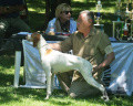 Pedigree 585 S DE CASA VON FURTH Pedigree 585 S DE CASA VON FURTH